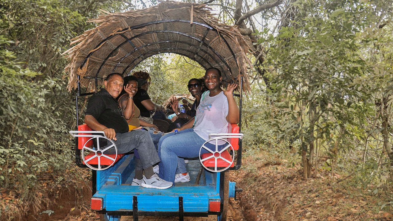 Costa y colinas (8 días)