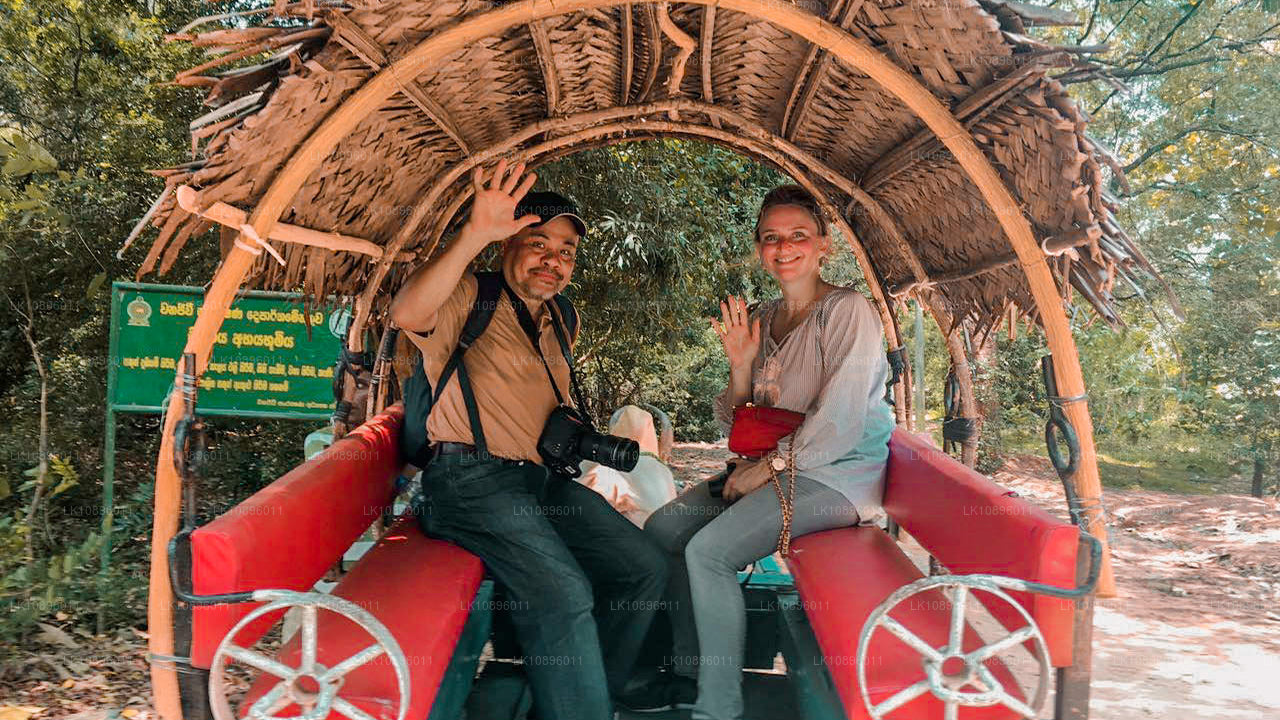 Costa y colinas (8 días)