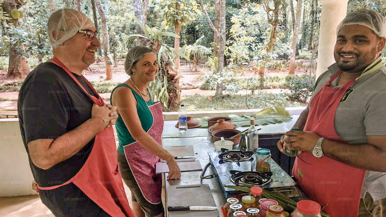 Costa y colinas (8 días)