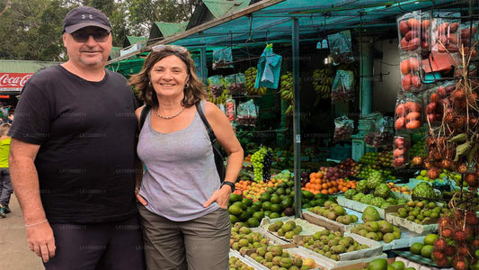 Costa y colinas (8 días)