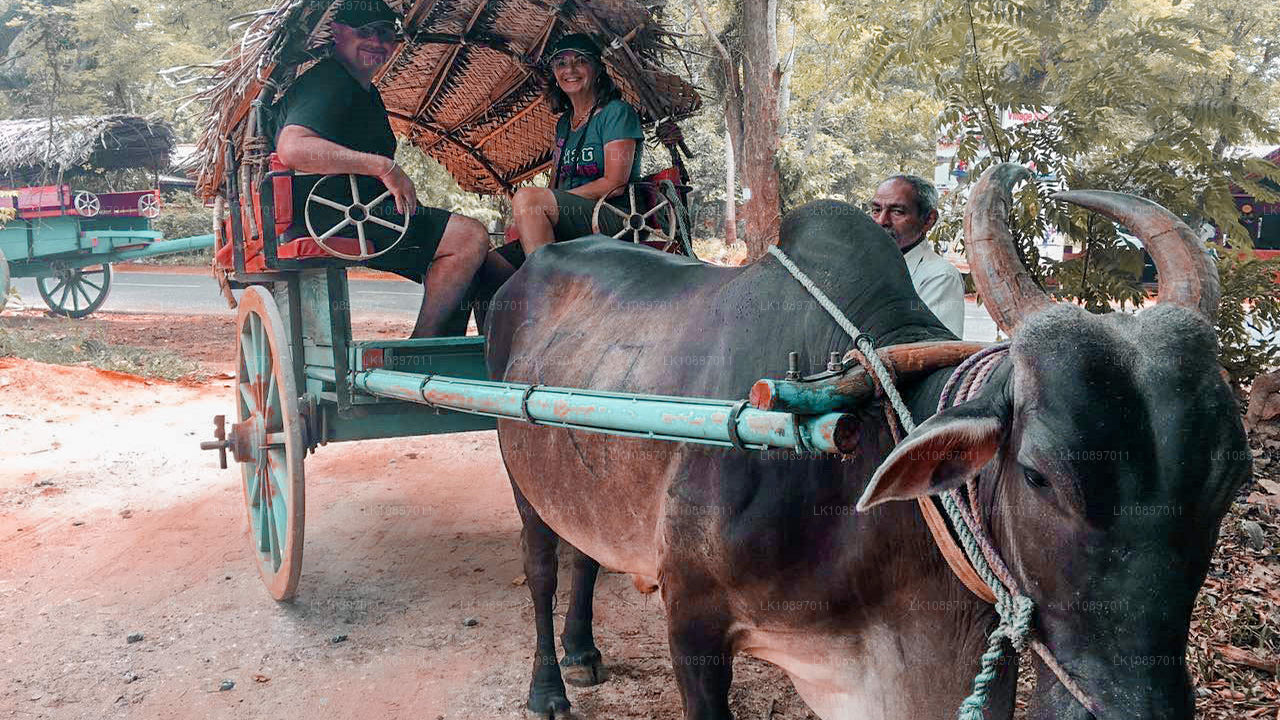 Cultura y naturaleza (8 días)