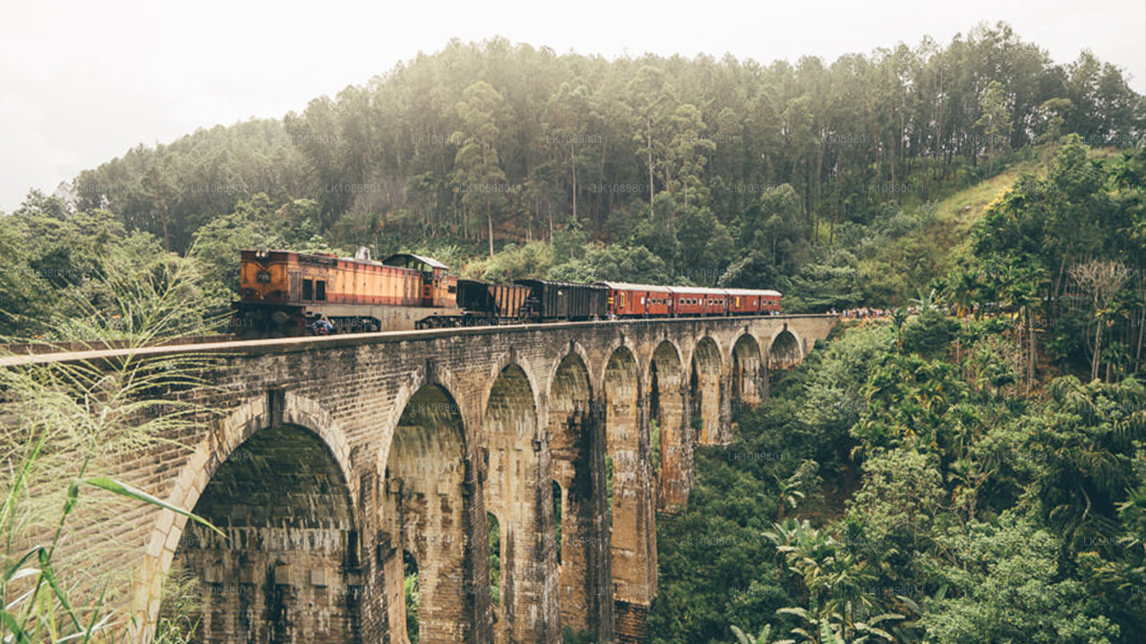 Descubra Serendib en tren (8 días)