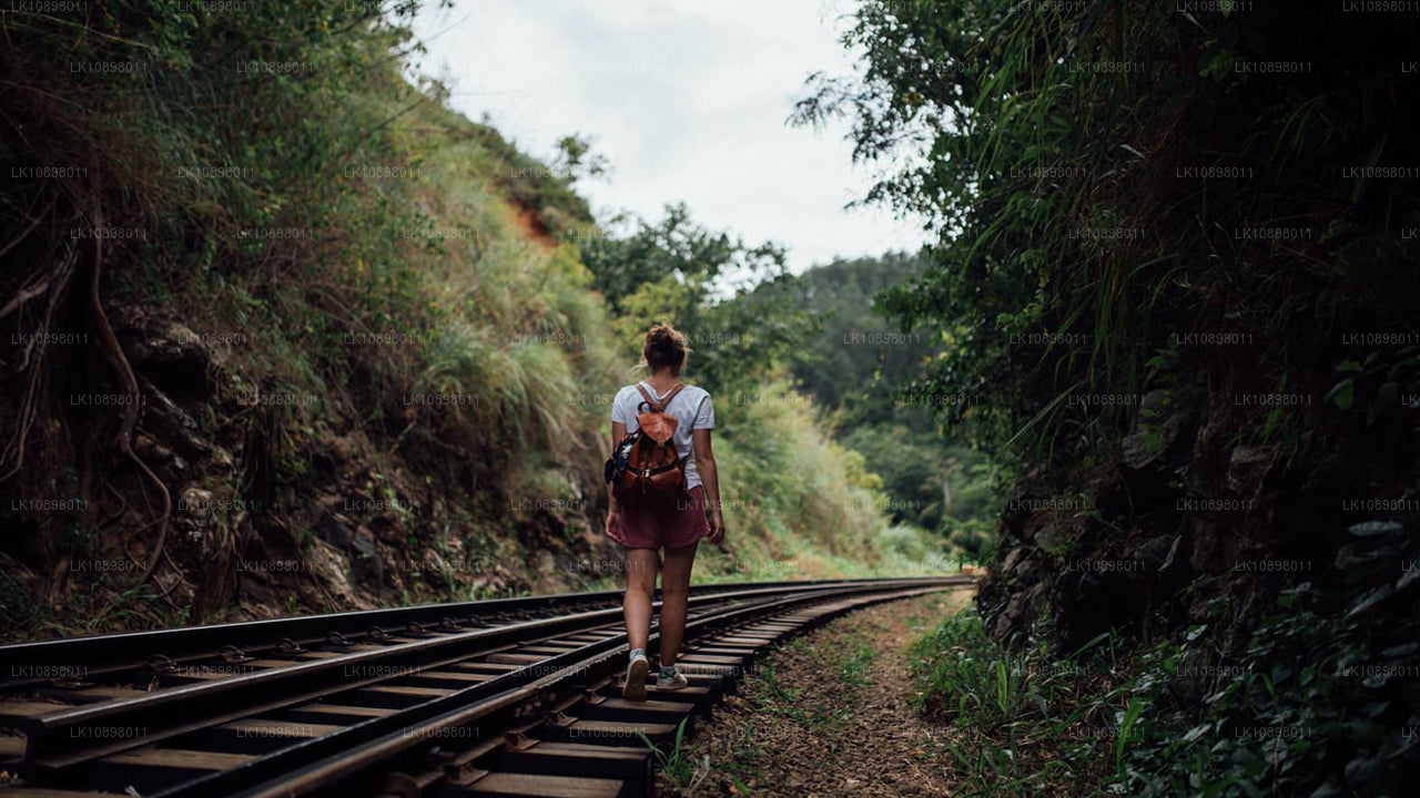 Descubra Serendib en tren (8 días)
