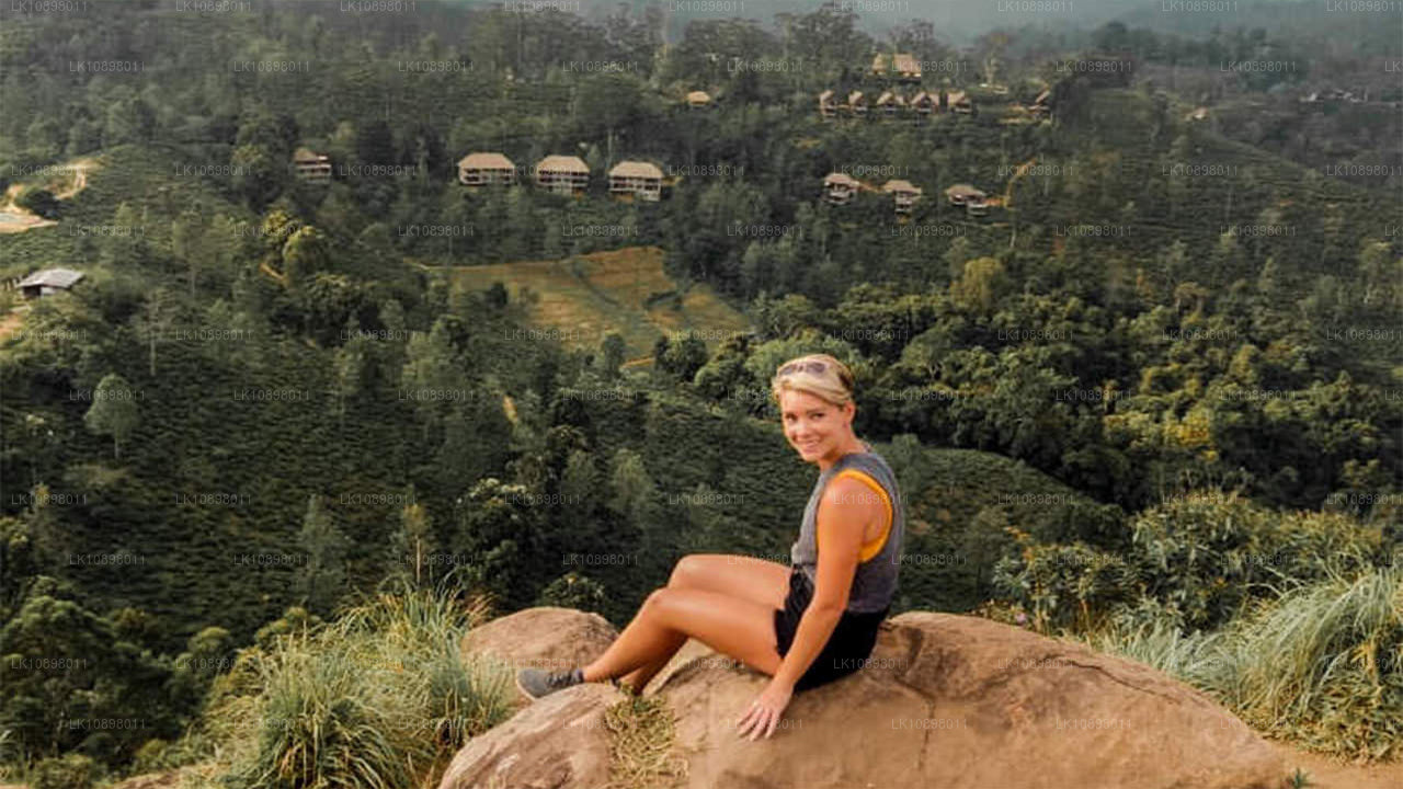 Descubra Serendib en tren (8 días)