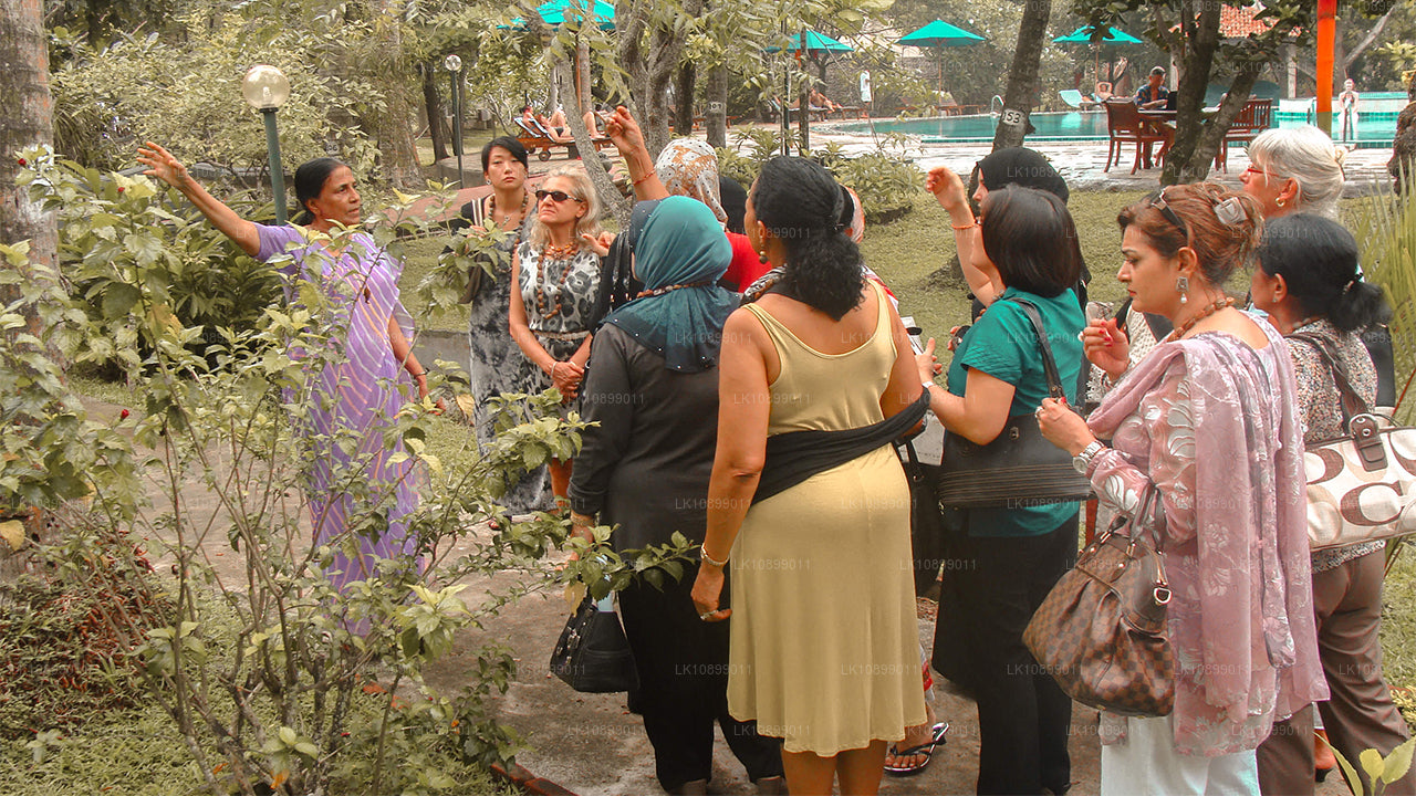 Alivio y relajación con Siddalepa (8 días)