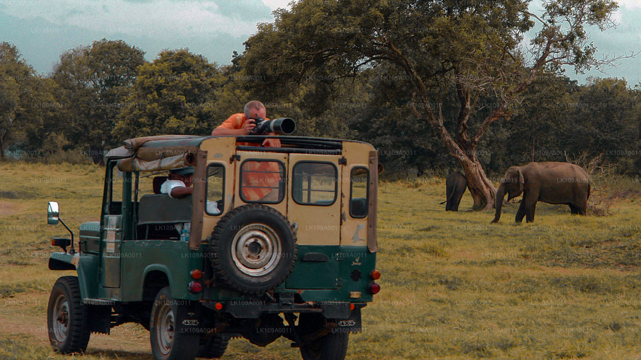 Cultura y patrimonio (9 días)