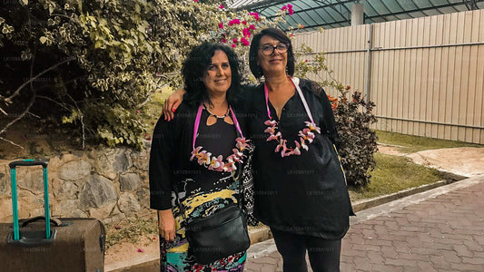 Descubre South and Hills (9 días)