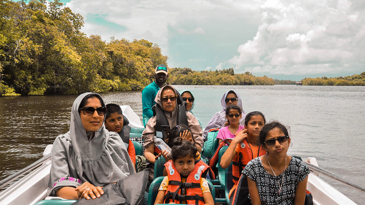 Descubre South and Hills (9 días)