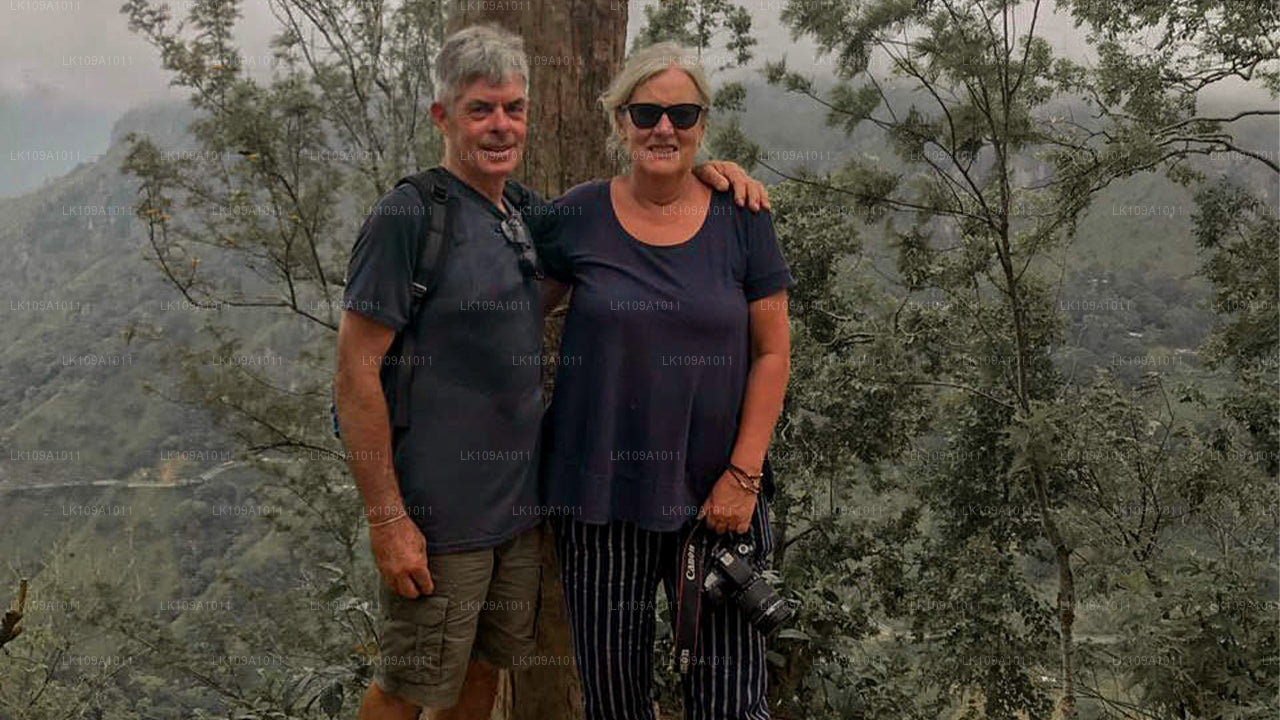 Descubre South and Hills (9 días)