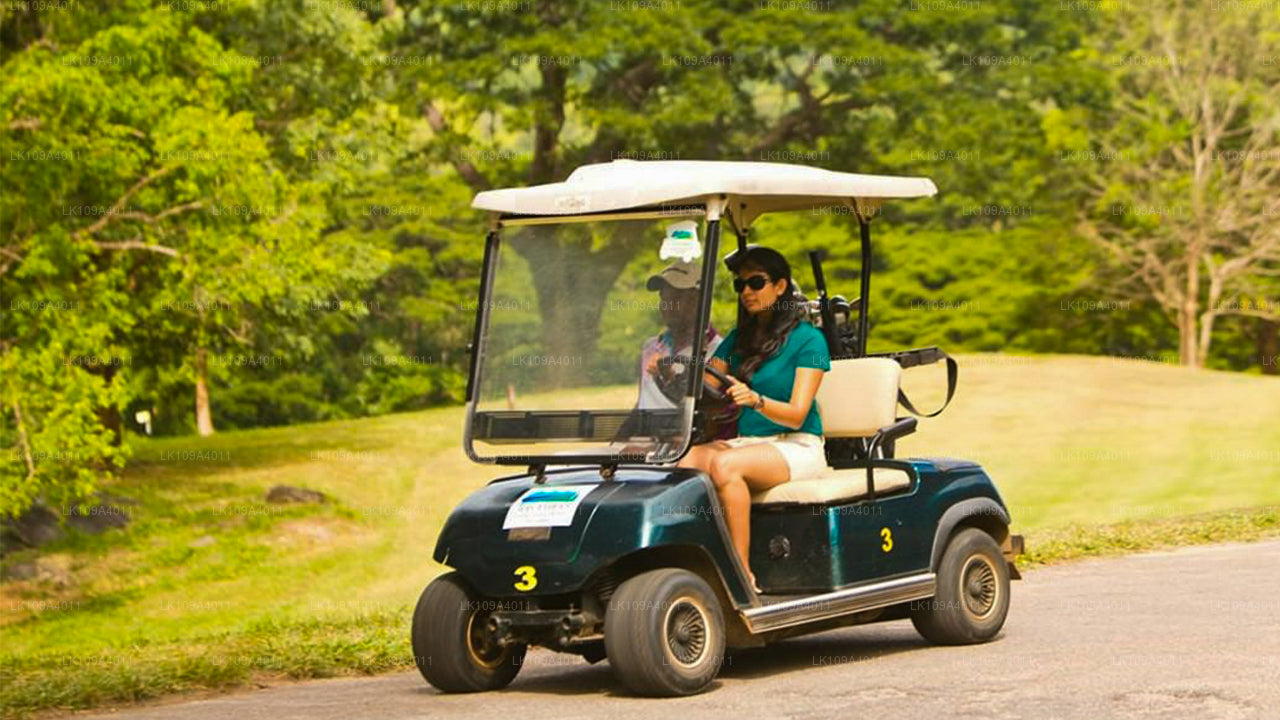 Descanso de golf y calles verdes (9 días)
