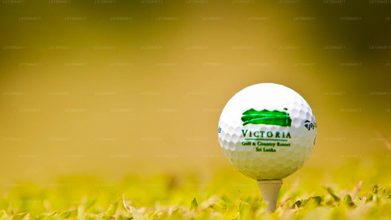 Descanso de golf y calles verdes (9 días)