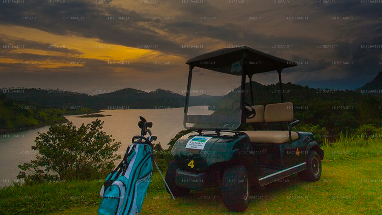 Descanso de golf y calles verdes (9 días)