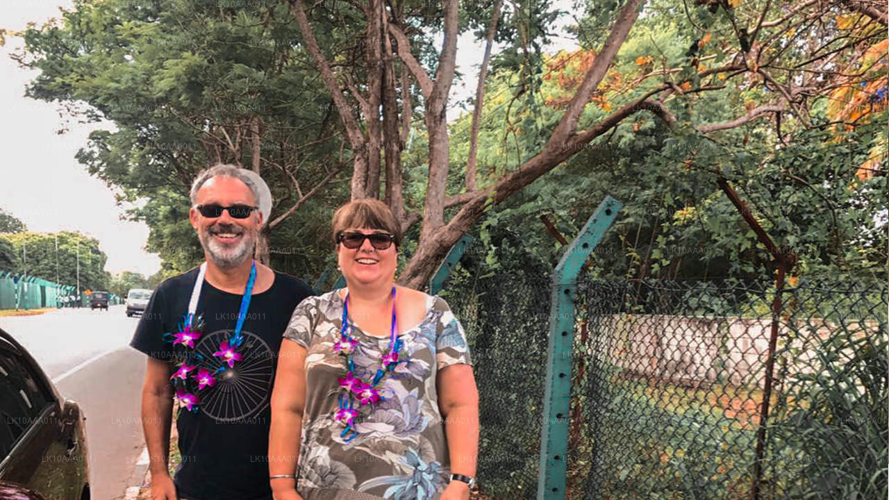 Lo más destacado de Sri Lanka (10 días)