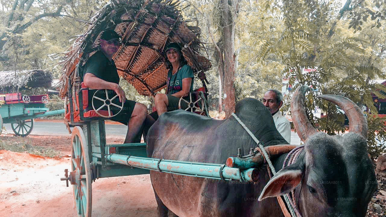 Playas del sur de Serendib (10 días)