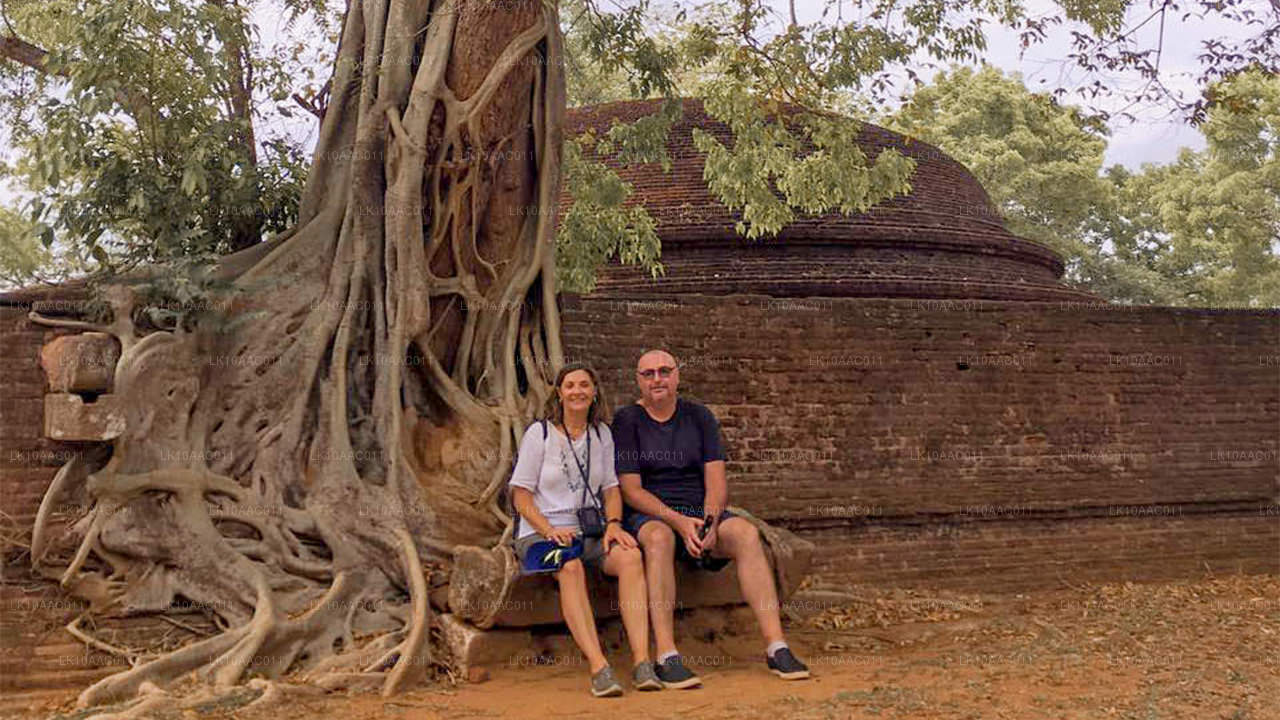 Reinos de Ceilán (10 días)