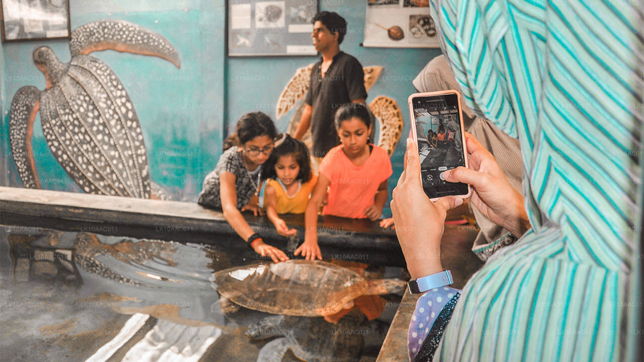 Reinos de Ceilán (10 días)