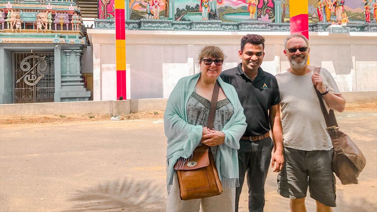 Fiesta del Ramayana (10 días)