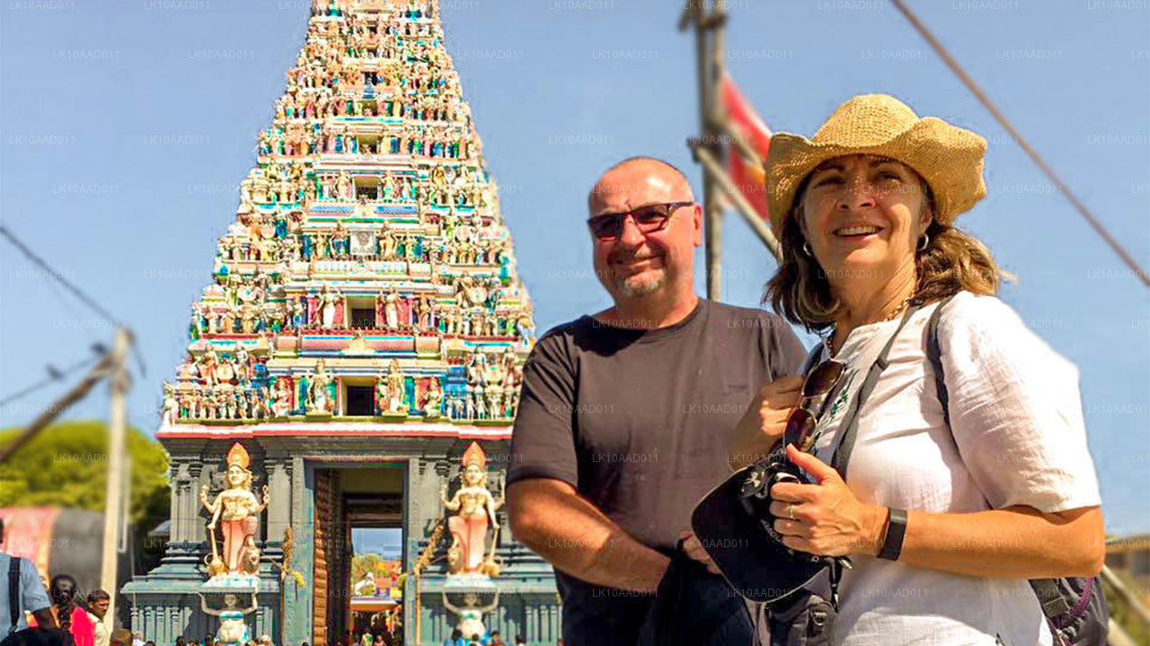 Fiesta del Ramayana (10 días)