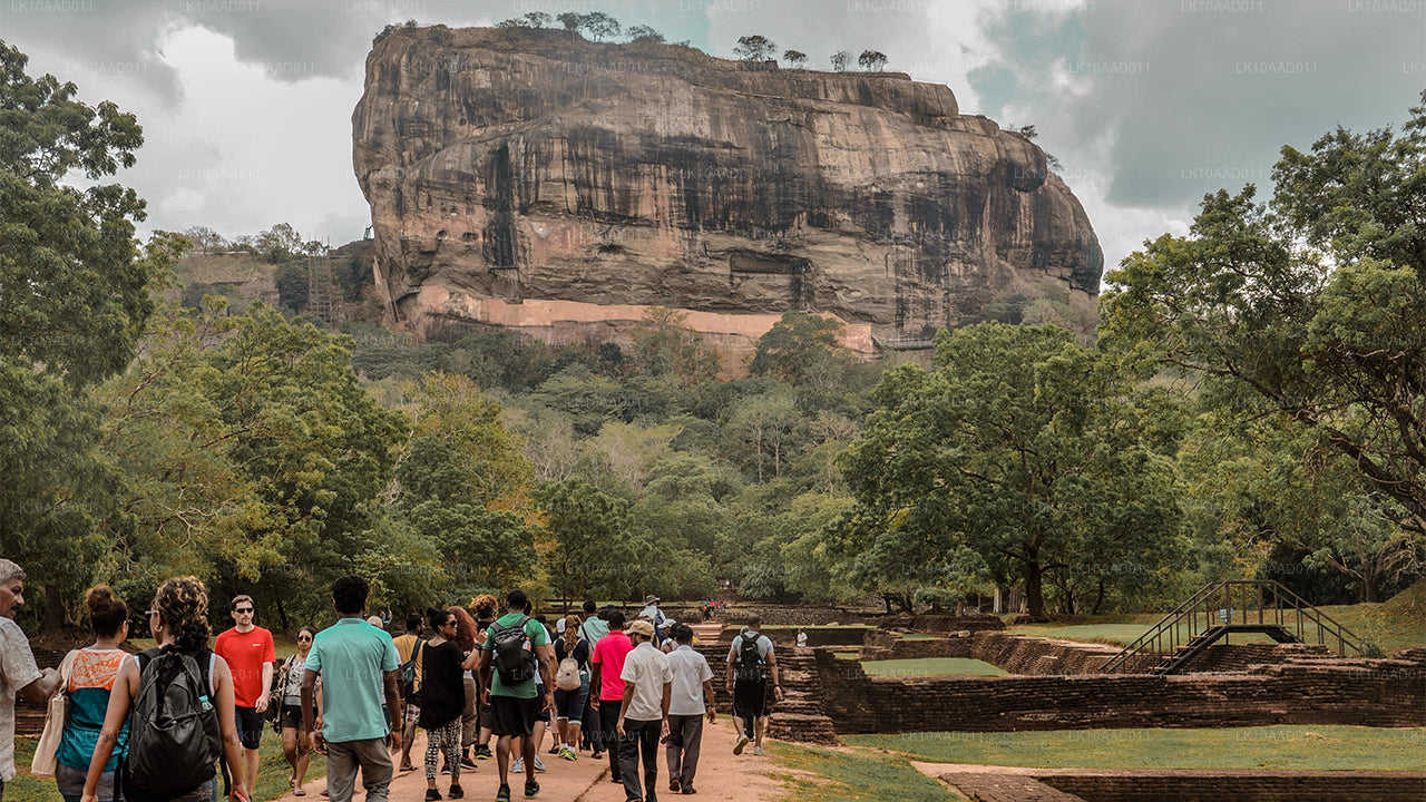 Fiesta del Ramayana (10 días)