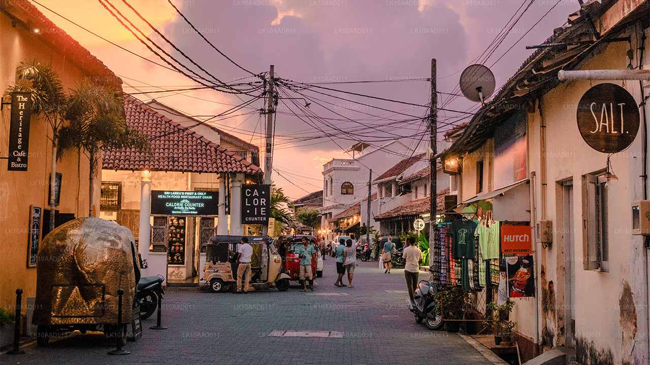 Fiesta del Ramayana (10 días)