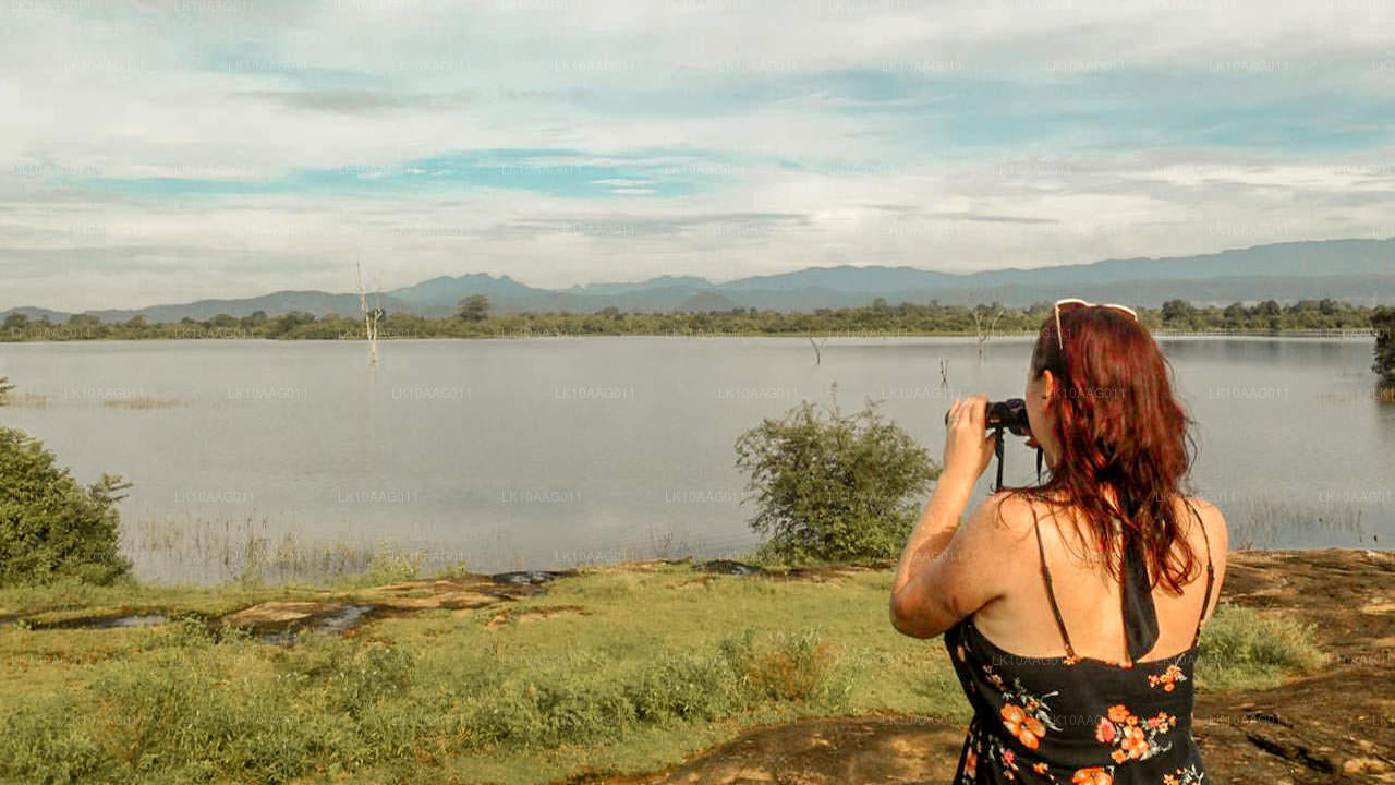 Vida silvestre de Sri Lanka (10 días)