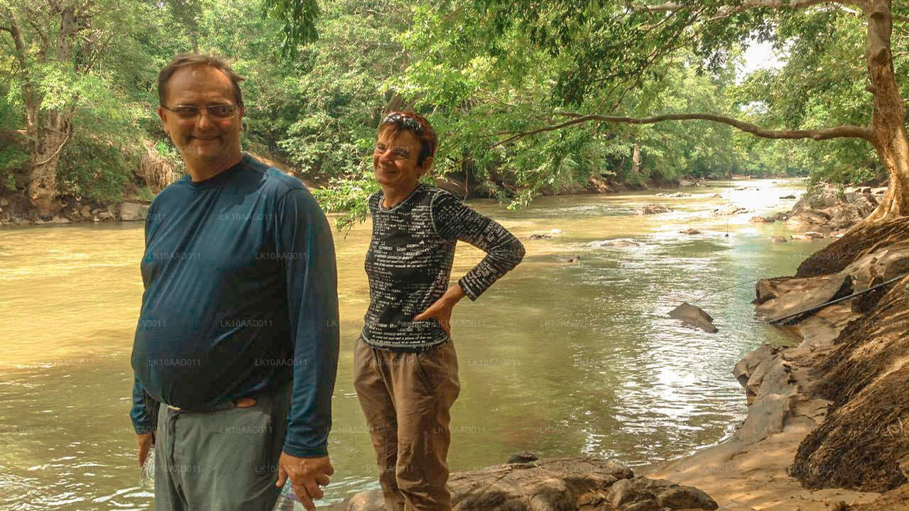 Vida silvestre de Sri Lanka (10 días)