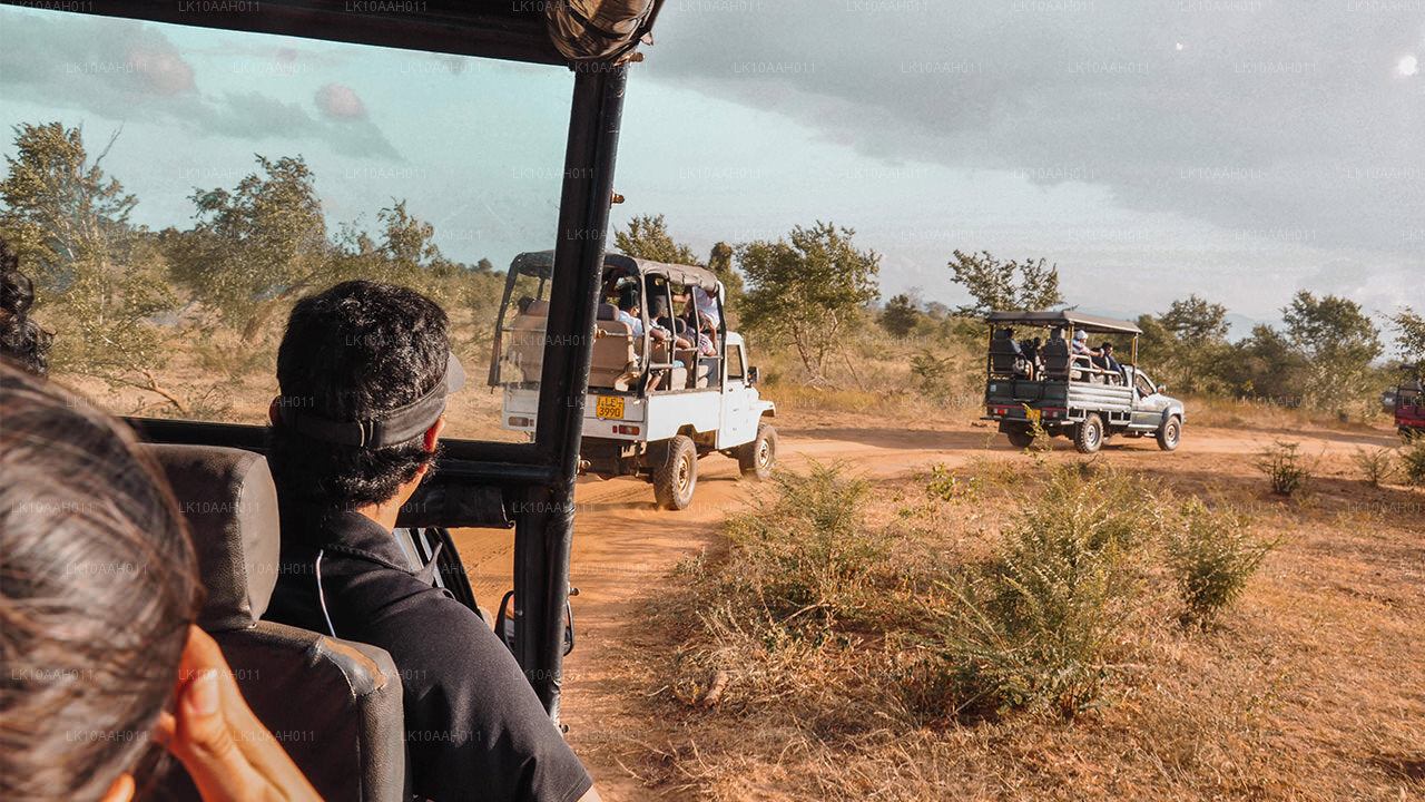 Historia y patrimonio (10 días)