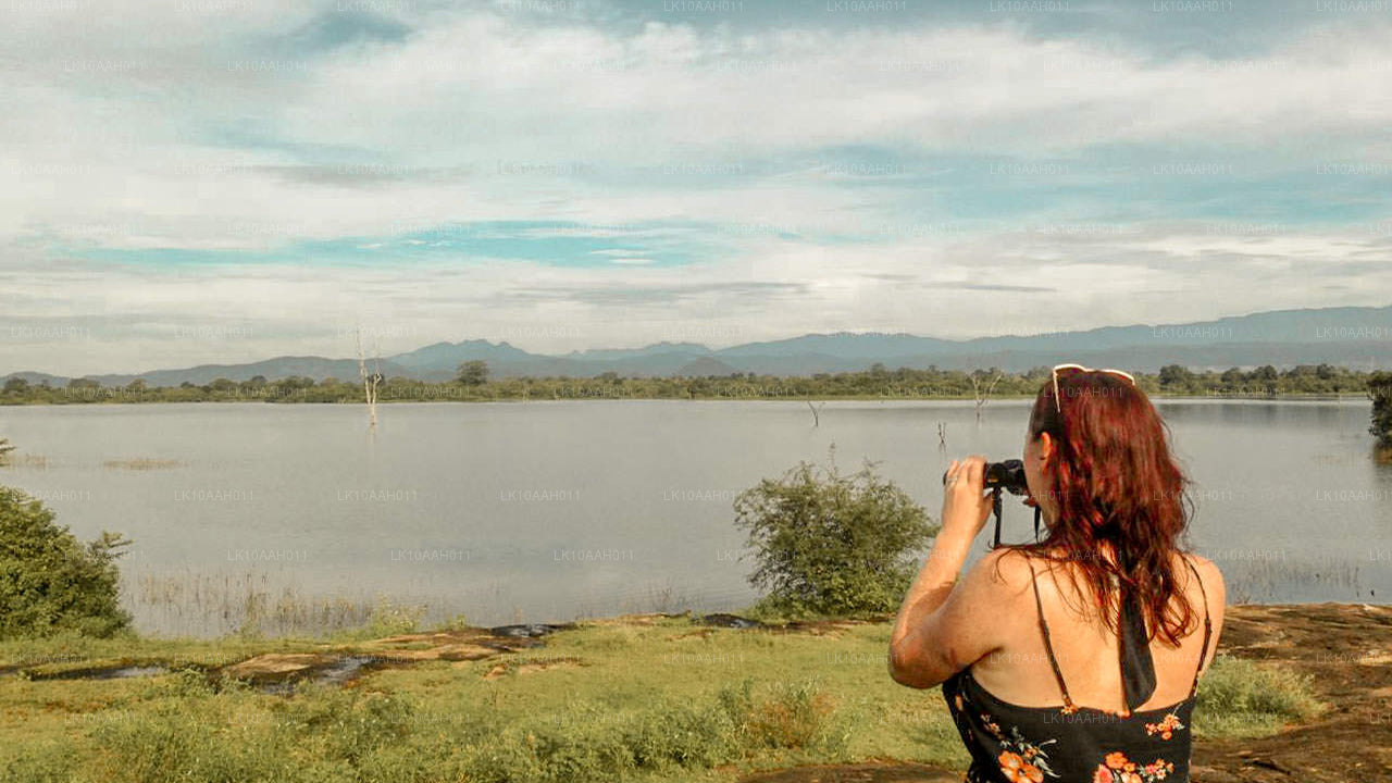 Historia y patrimonio (10 días)