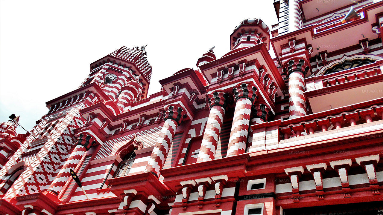 Tour halal (islámico) por Sri Lanka (10 días)