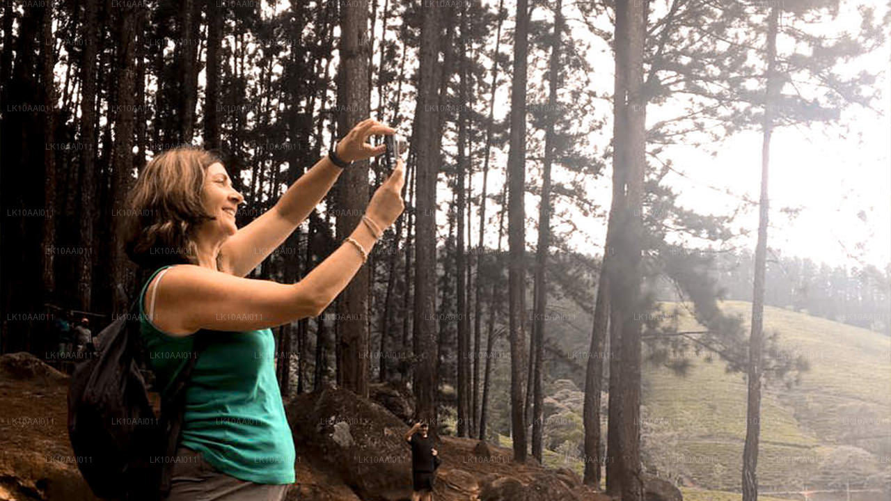 Tour halal (islámico) por Sri Lanka (10 días)