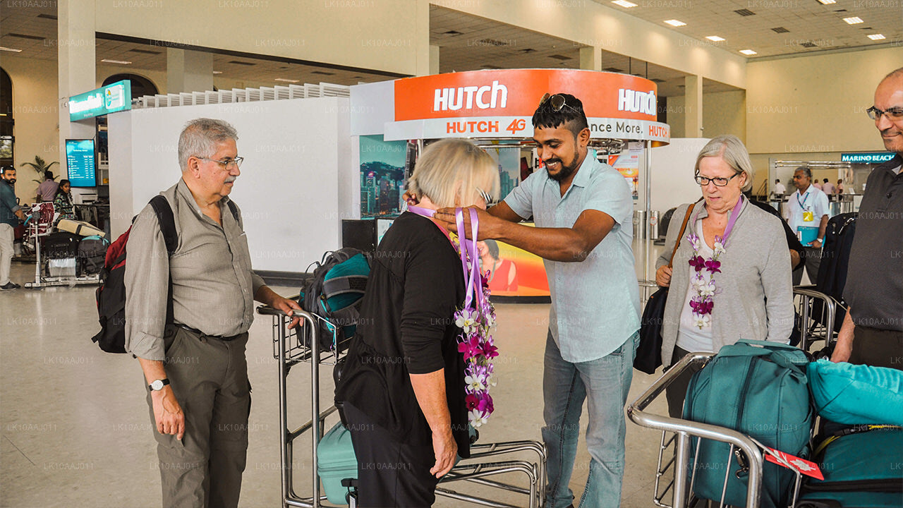 Tour de té por Ceilán (10 días)