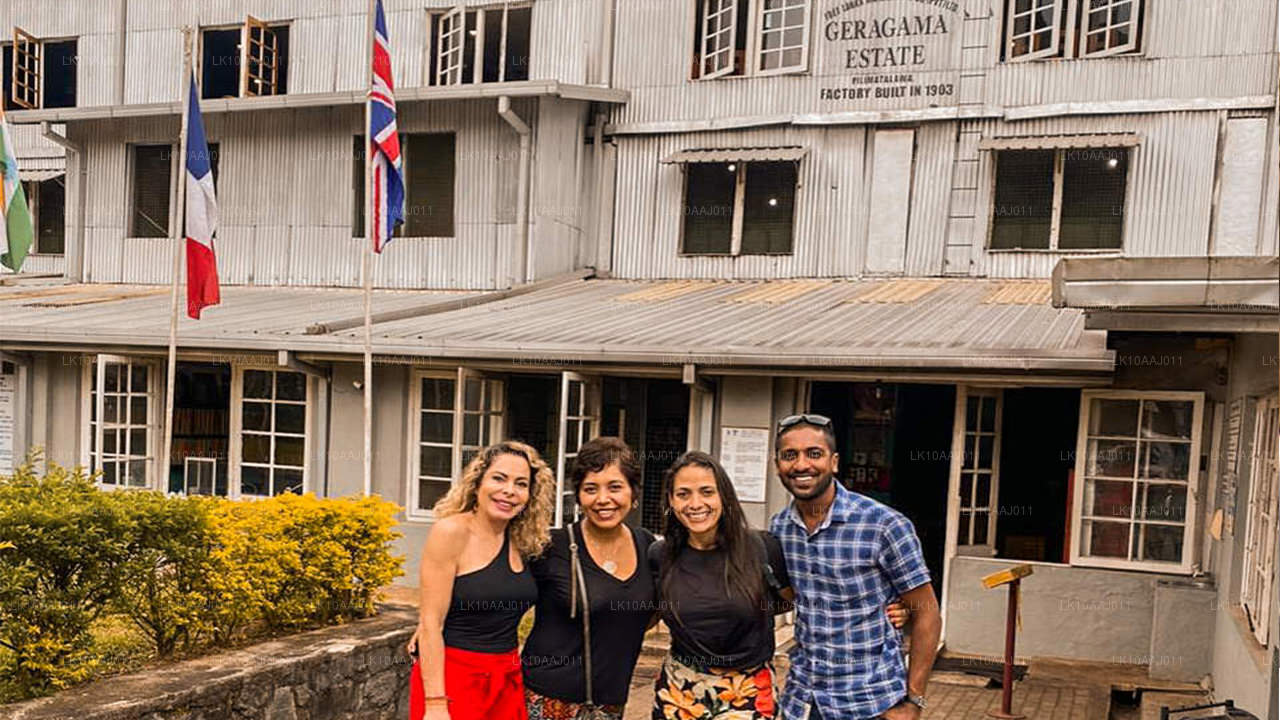 Tour de té por Ceilán (10 días)