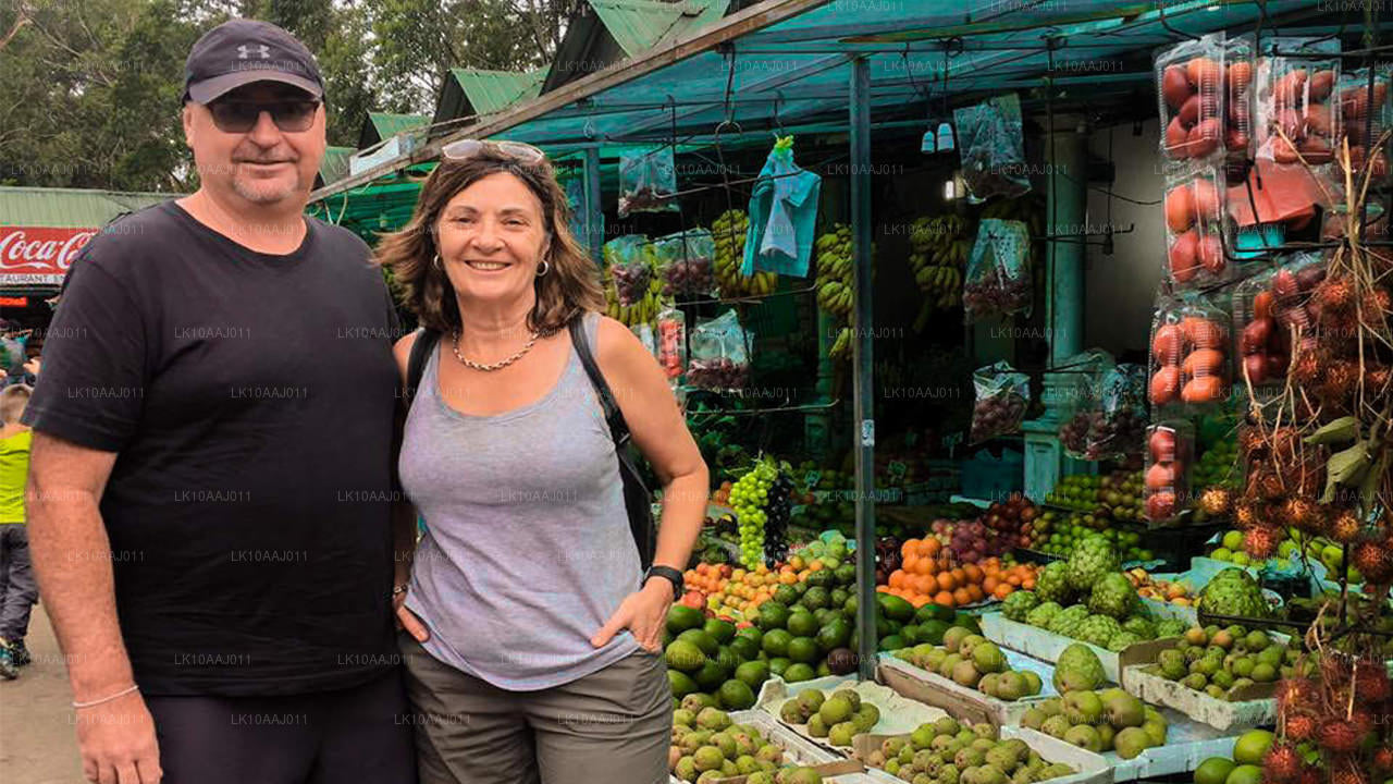 Tour de té por Ceilán (10 días)