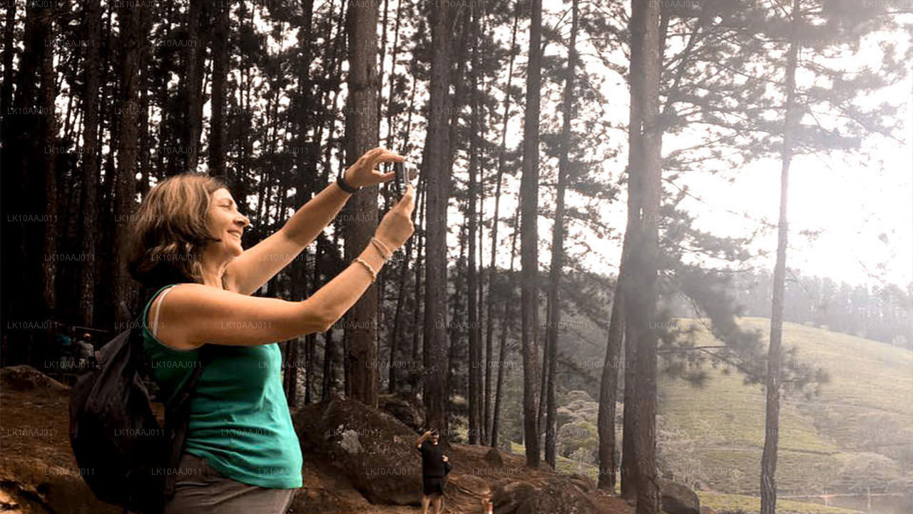 Tour de té por Ceilán (10 días)