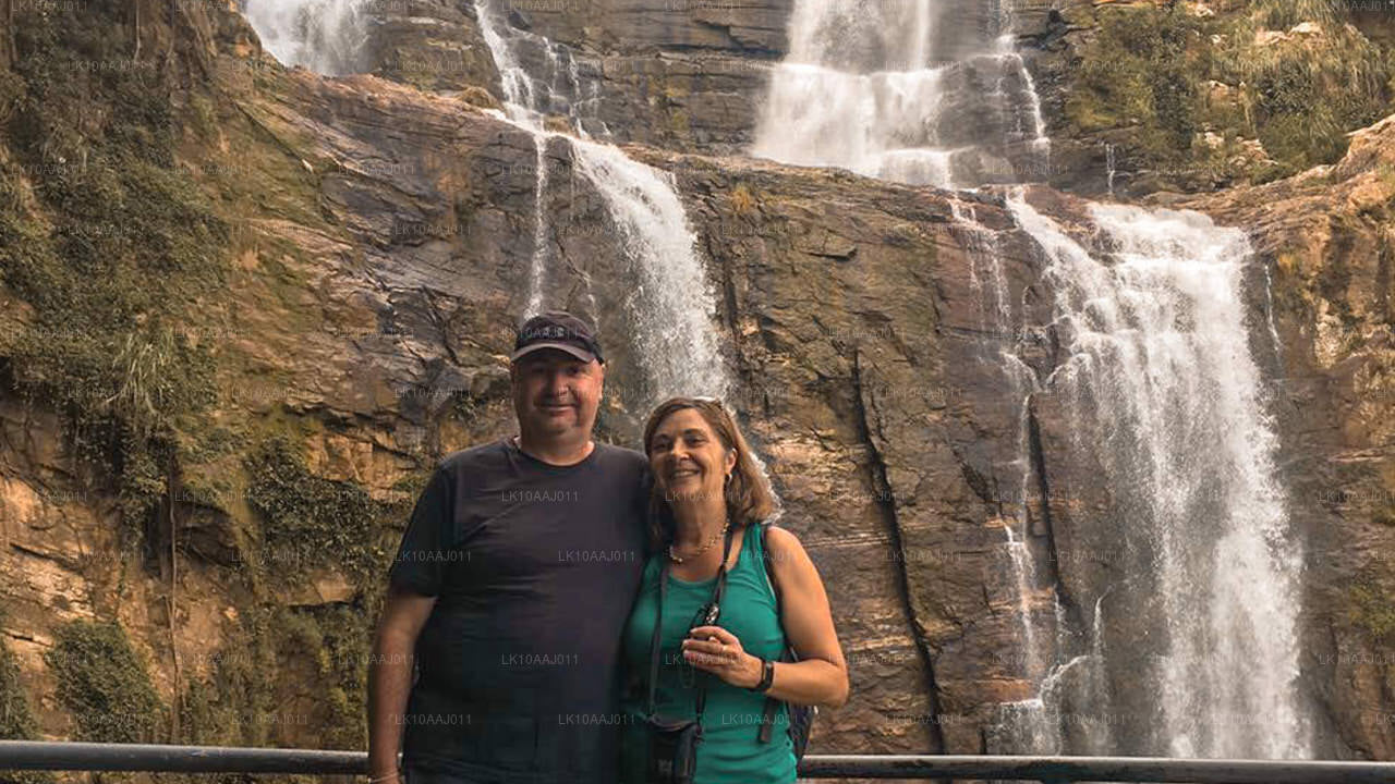 Tour de té por Ceilán (10 días)