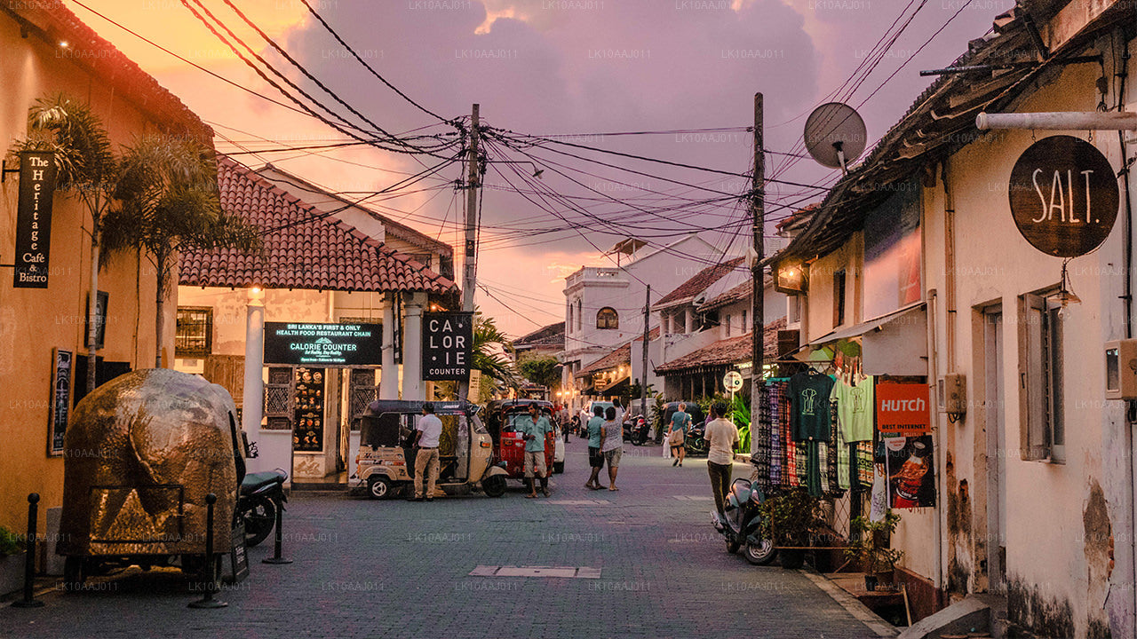 Tour de té por Ceilán (10 días)