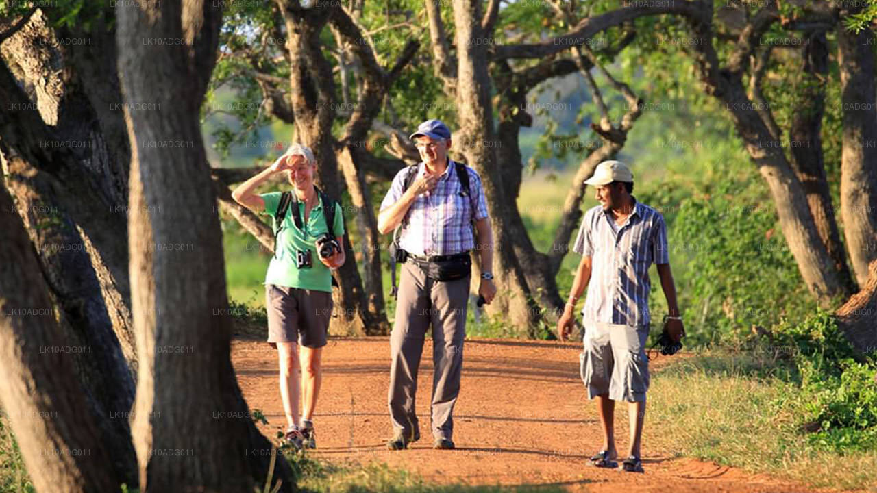 Tour de observación de aves y vida silvestre (10 días)