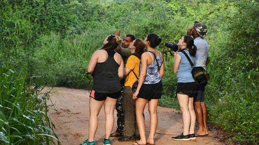 Tour de observación de aves y vida silvestre (10 días)