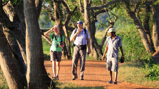 Tour de aves y vida silvestre (11 días)