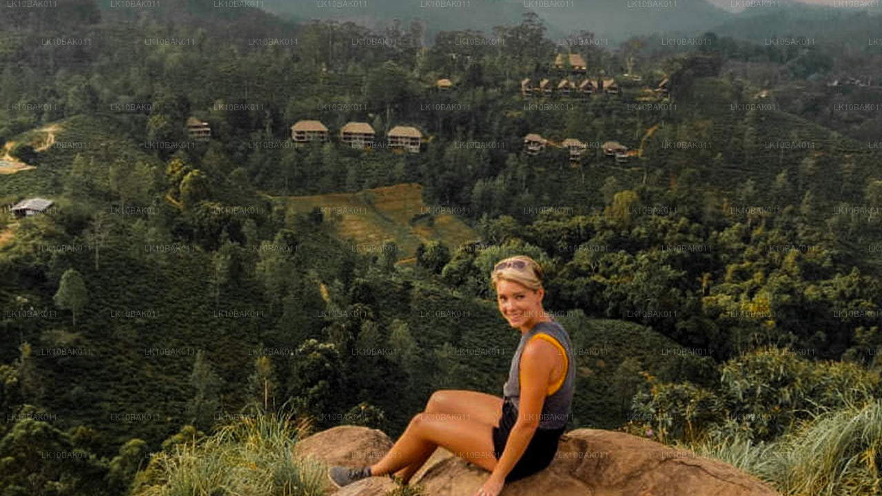 Aventura y ocio (11 días)