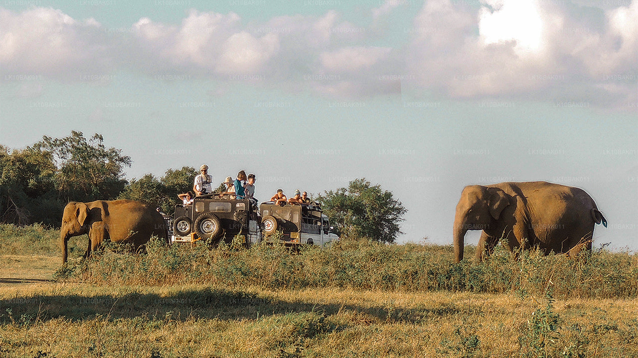 Aventura y ocio (11 días)
