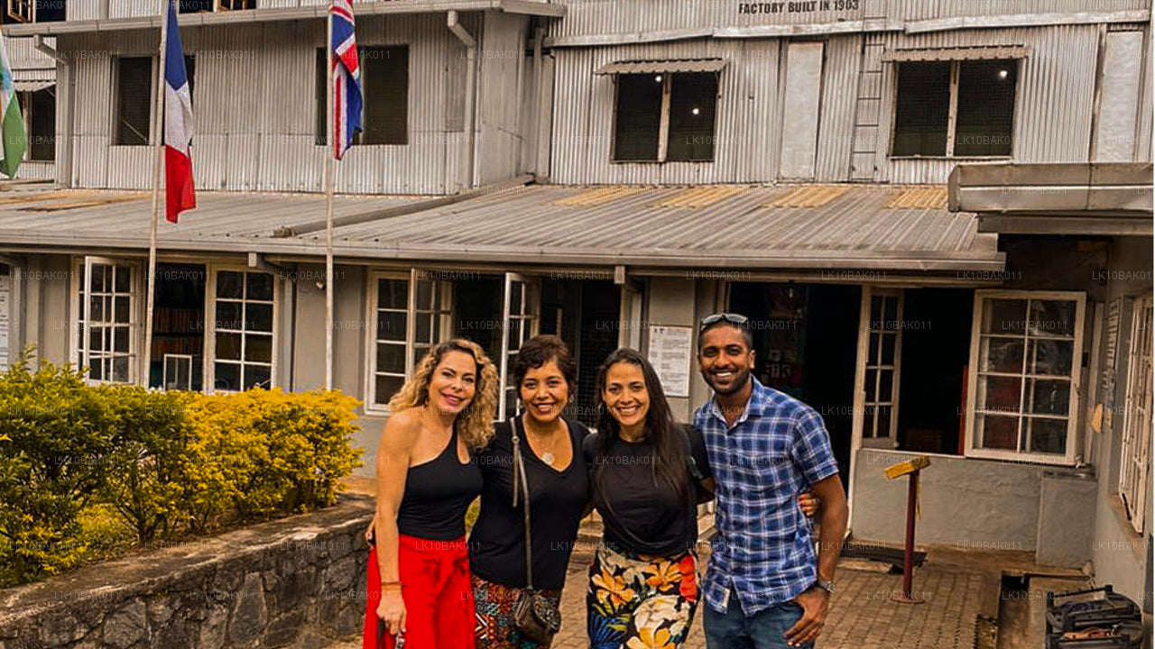 Aventura y ocio (11 días)