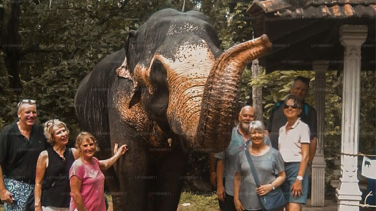 Scenic Serendib (11 días)