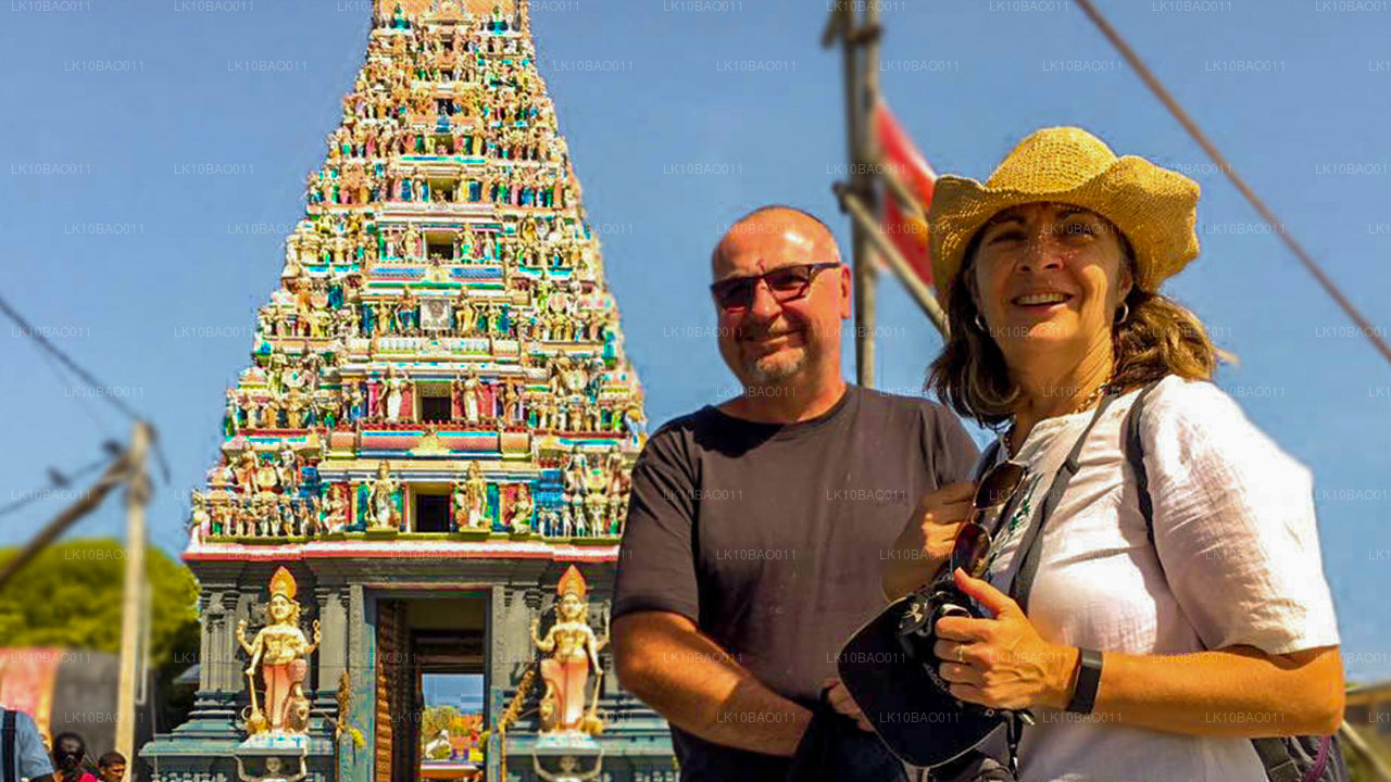 Experiencia del noreste (11 días)