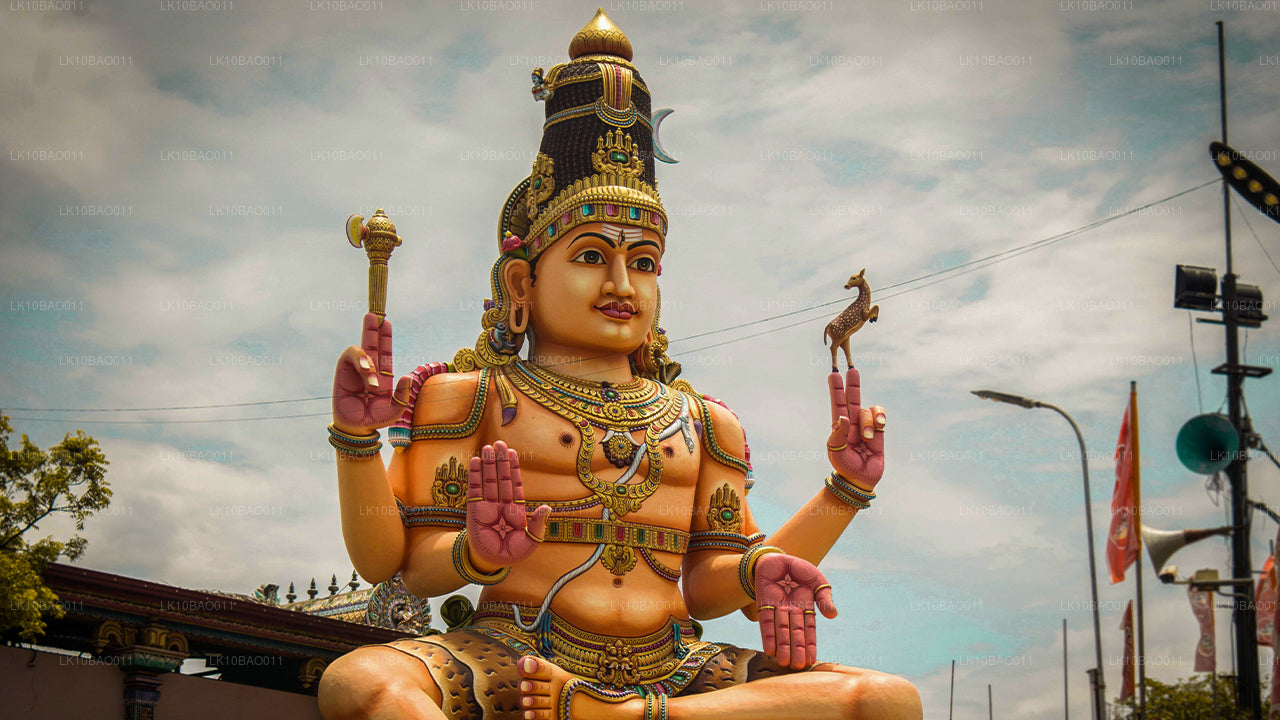 Experiencia del noreste (11 días)