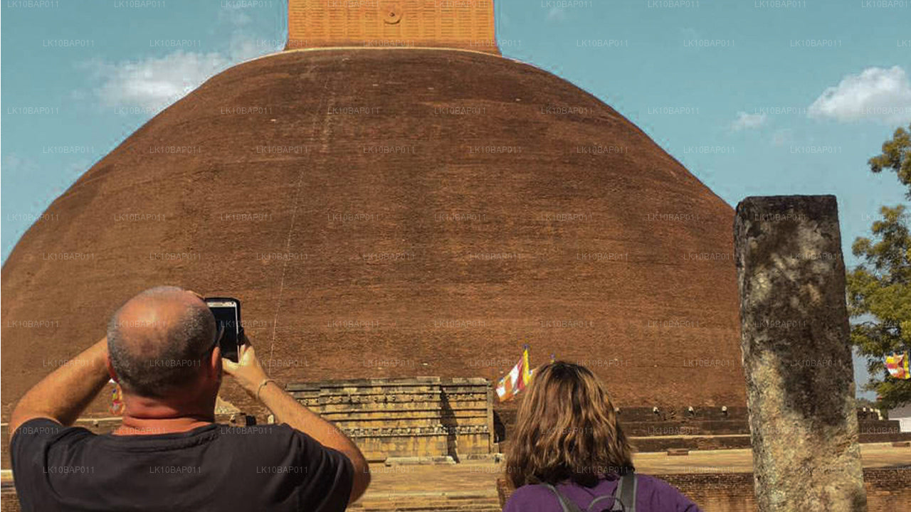 Descubriendo el santuario (11 días)