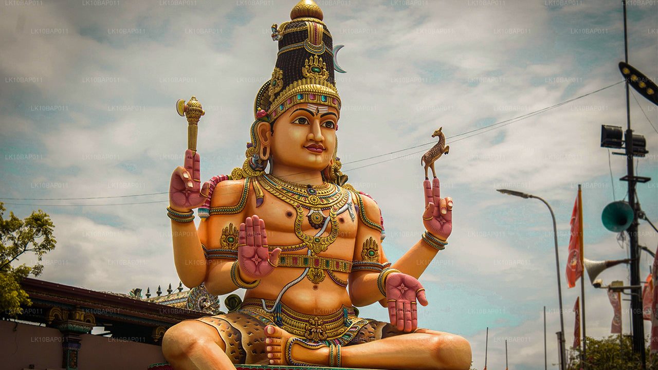 Descubriendo el santuario (11 días)