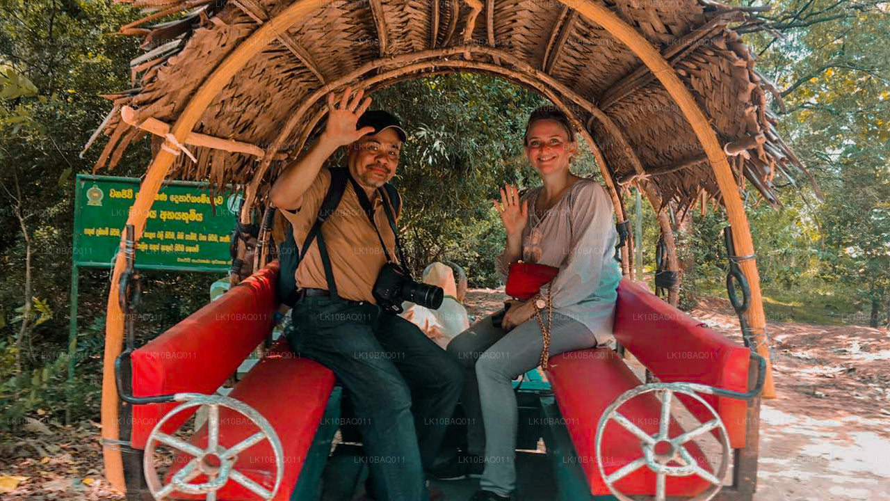 Perdidos en Ceilán (11 días)