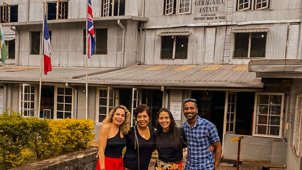 Perdidos en Ceilán (11 días)