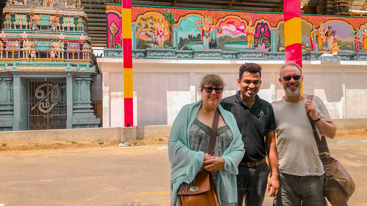 Fiesta del Ramayana (11 días)